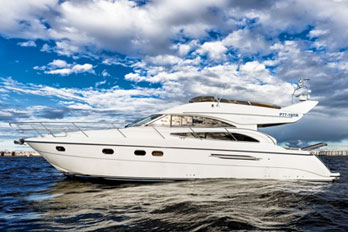 Princess 50